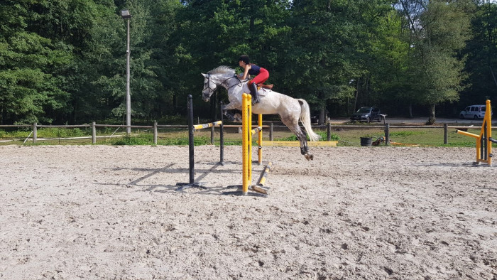 Photo de profil de drouettes