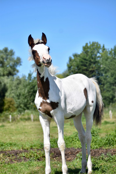 Photo de profil de dubaillarquet