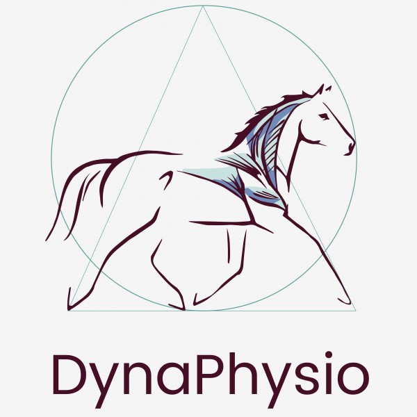 Photo de profil de dynaphysio