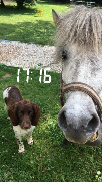 Photo de profil de eannedeverneuil