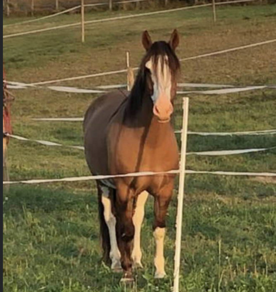 Photo de profil de ecijade