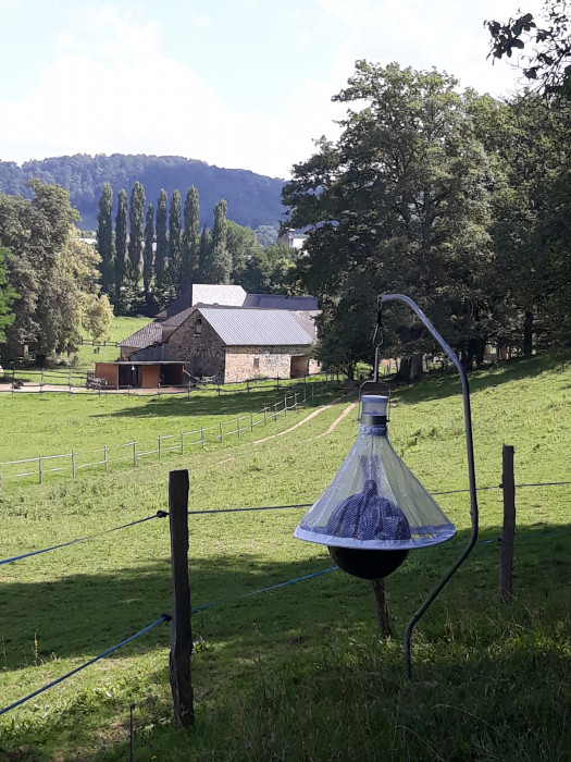 Photo de profil de ecrinarnaude