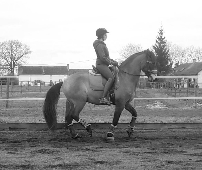 Photo de profil de montaiguillon