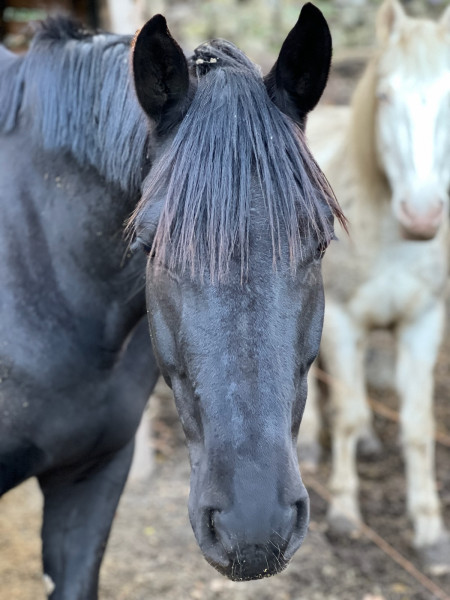 Photo de profil de ecurieekil