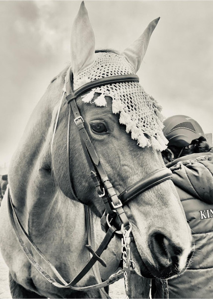 Photo de profil de ecurielalye