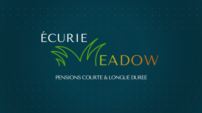 Photo de profil de ecurie.meadow