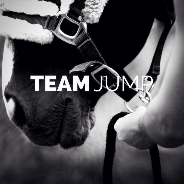 Photo de profil de ecurieteamjump