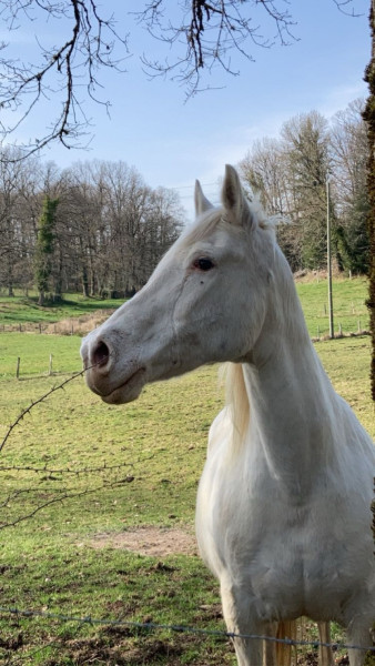 Photo de profil de edennnnn