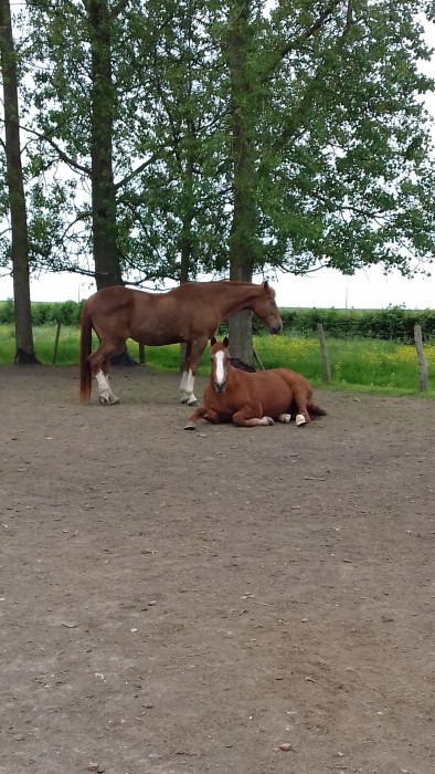 Photo de profil de edith62130