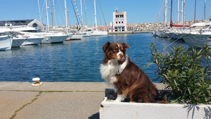 Photo de profil de edphil20
