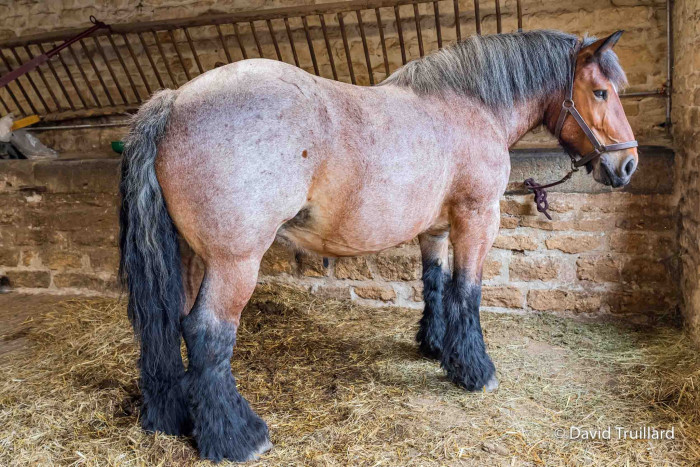 Photo de profil de edward08