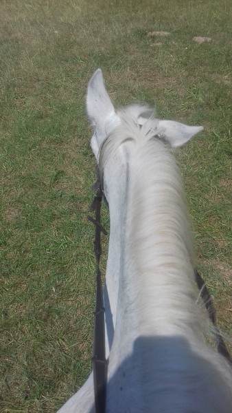 Photo de profil de ehawee