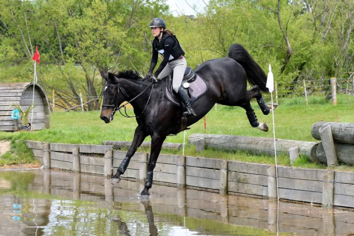 Photo de profil de ehequestrian
