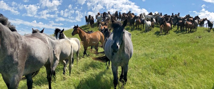 Photo de profil de eiluned