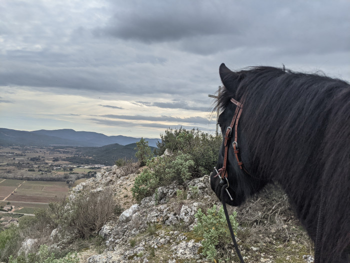 Photo de profil de ekinature