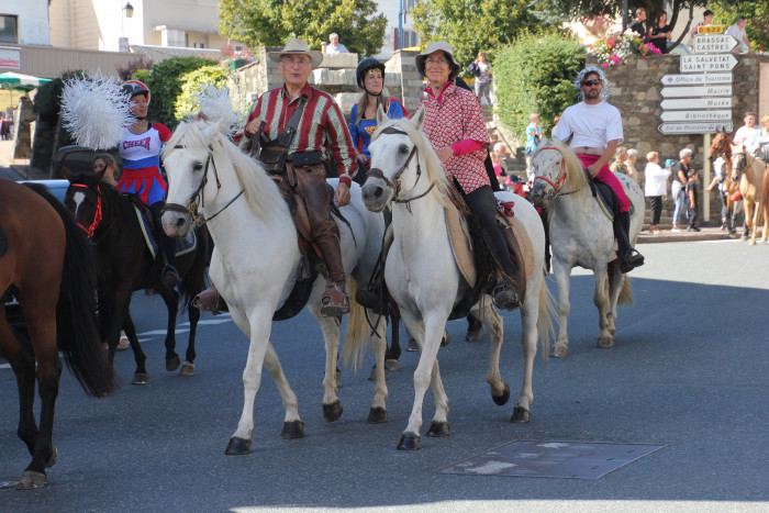 Photo de profil de elcaballero