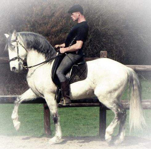 Photo de profil de elcentaury