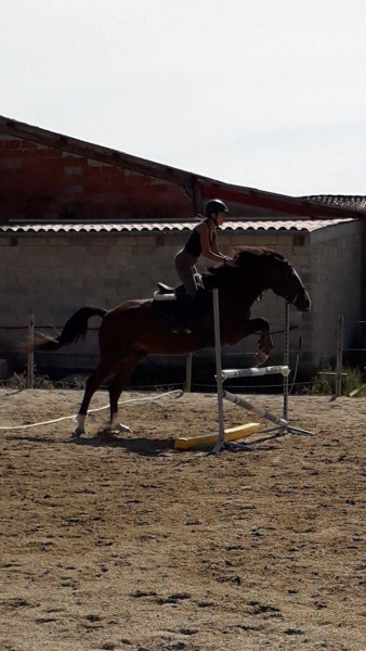 Photo de profil de elea8120