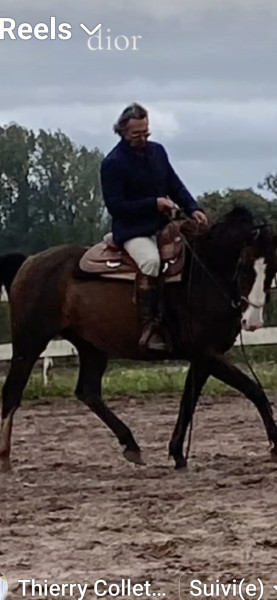 Photo de profil de elegado44390