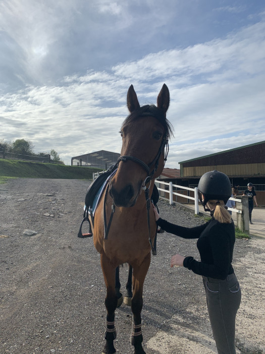 Photo de profil de elenamli