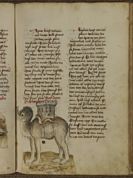 Photo de profil de elephanthenry