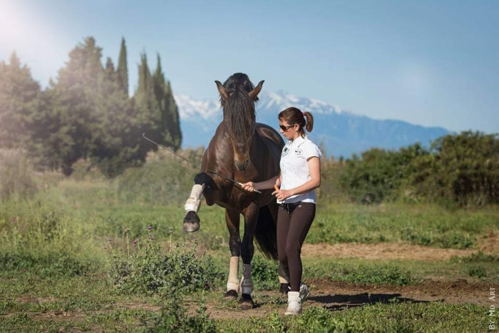 Photo de profil de elevagdescazers