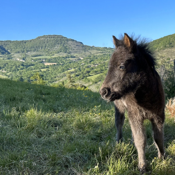 Photo de profil de elevage.conquet