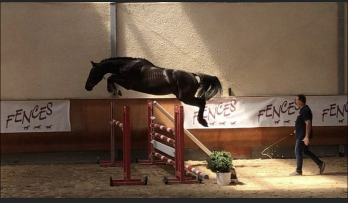 Photo de profil de elevagedes4m