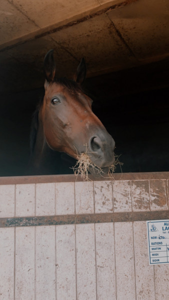 Photo de profil de elevageduseuil