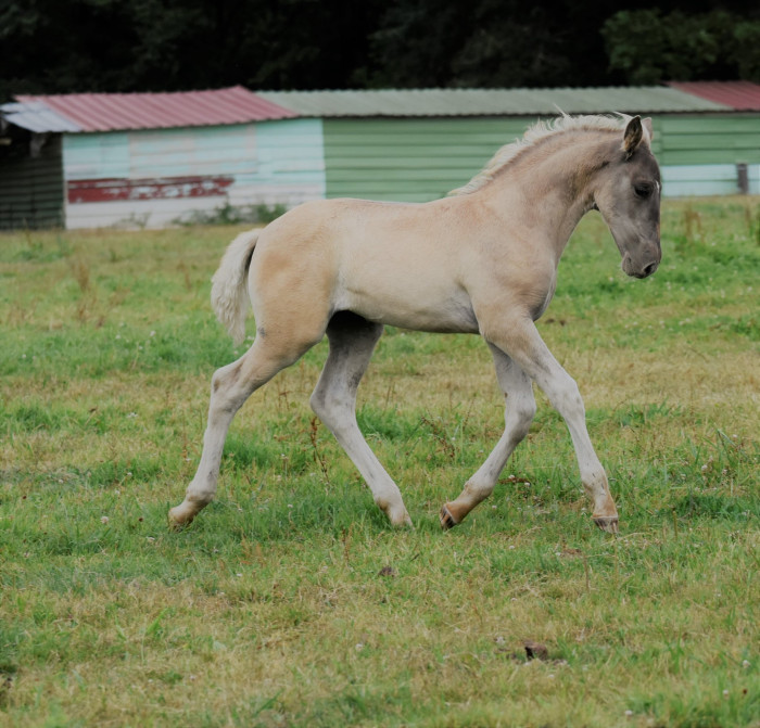 Photo de profil de elevage.raiados