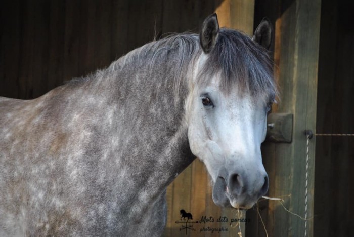 Photo de profil de elilou59