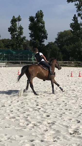 Photo de profil de elisaham