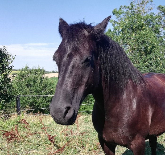 Photo de profil de elise81