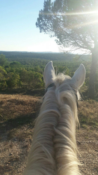 Photo de profil de elise_r