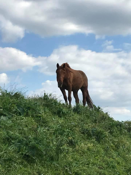 Photo de profil de elo2608