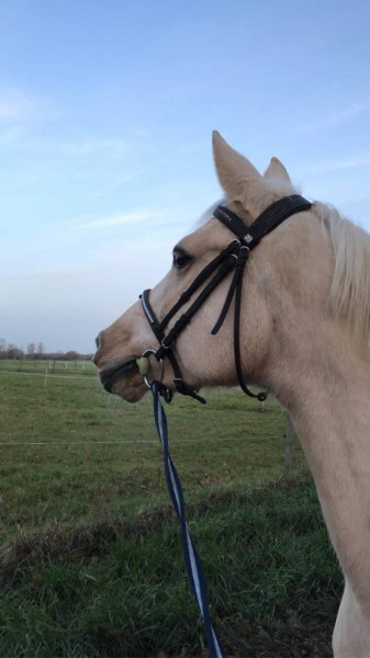 Photo de profil de elodie207