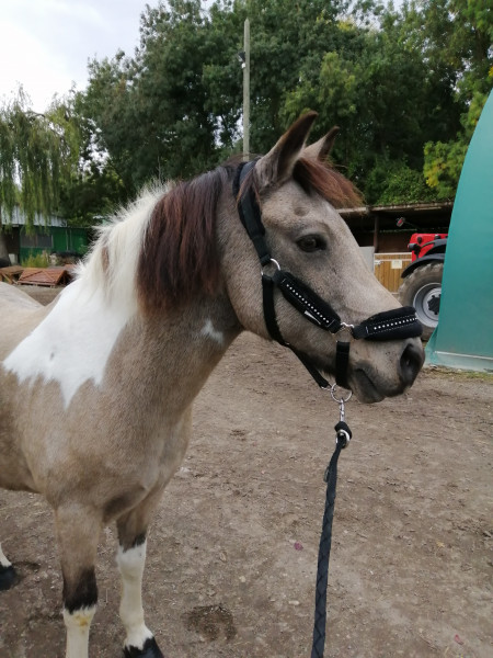 Photo de profil de elodie_22