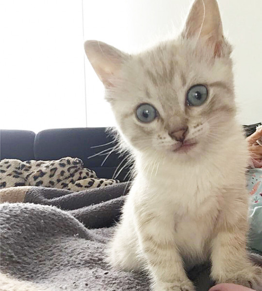 Photo de profil de elodie57n