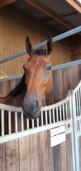 Photo de profil de elodie88