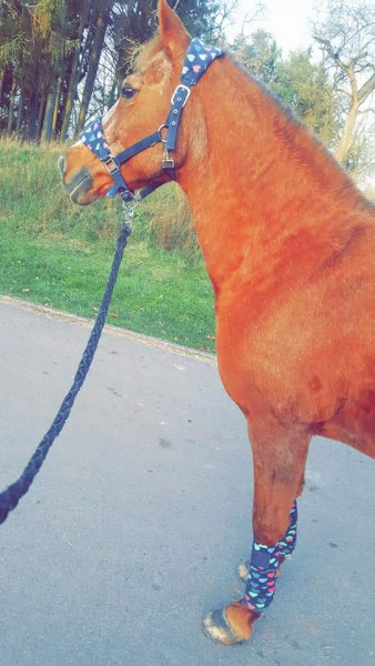 Photo de profil de eloelo57100