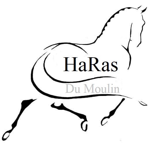 Photo de profil de eloisel