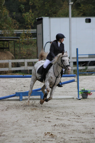 Photo de profil de elokity