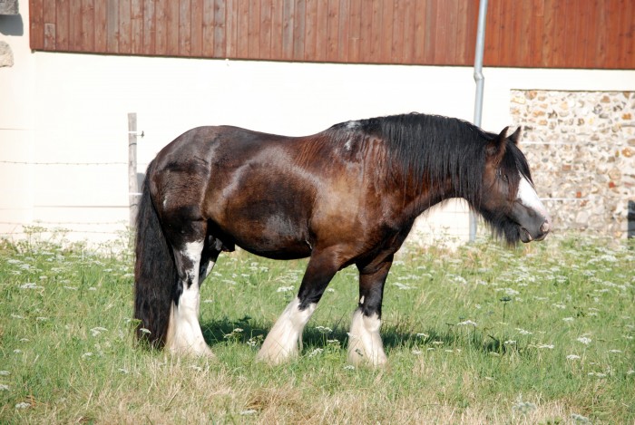 Photo de profil de eloraelena