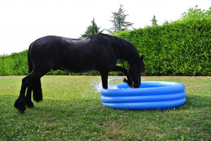 Photo de profil de elosco