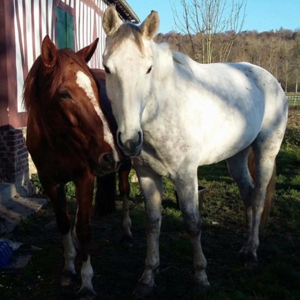 Photo de profil de eloys