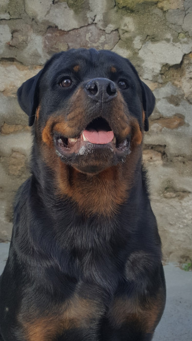 Photo de profil de elroy