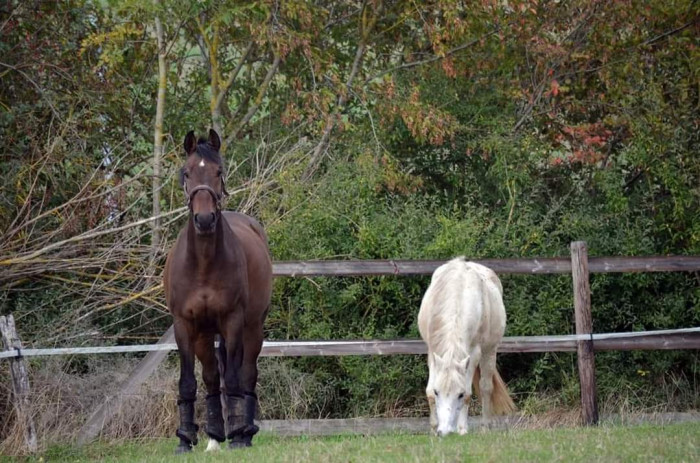 Photo de profil de elsa77