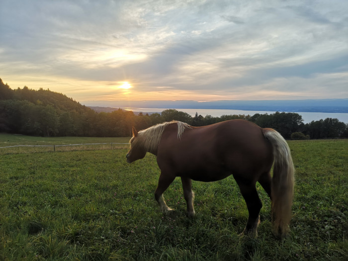 Photo de profil de emantephane