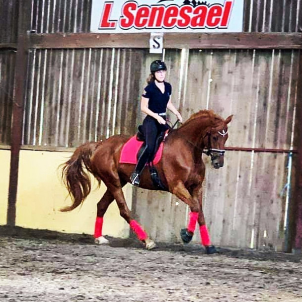 Photo de profil de emelineetbuena