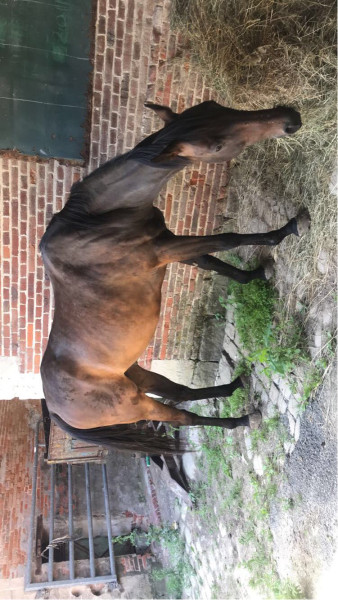 Photo de profil de emelineladr2023